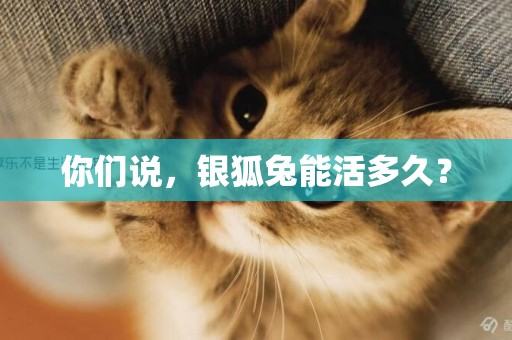 你們說,銀狐兔能活多久? 你們說,銀狐兔能活多久?