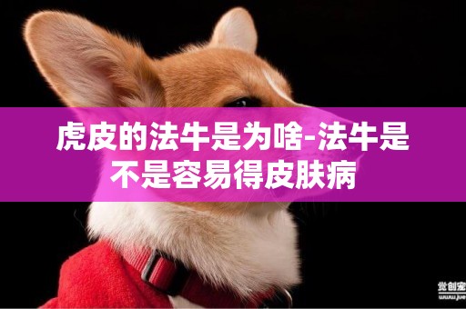 虎皮的法牛是為啥-法牛是不是容易得皮膚病