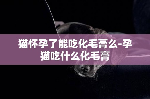 貓懷孕了能吃化毛膏么-孕貓吃什么化毛膏