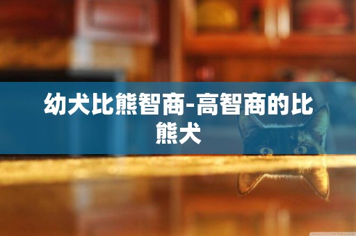 幼犬比熊智商-高智商的比熊犬
