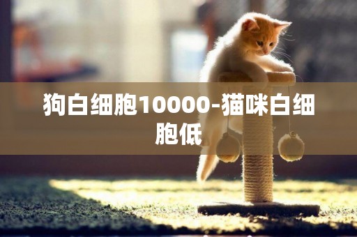 狗白細胞10000-貓咪白細胞低