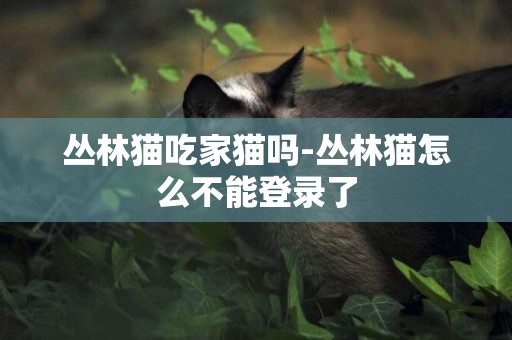 叢林貓吃家貓嗎-叢林貓怎么不能登錄了