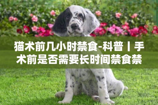 貓術前幾小時禁食-科普丨手術前是否需要長時間禁食禁水