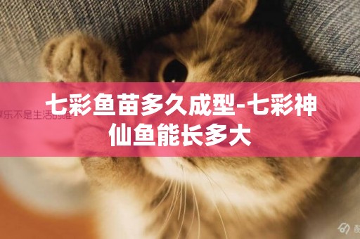 七彩魚苗多久成型-七彩神仙魚能長多大