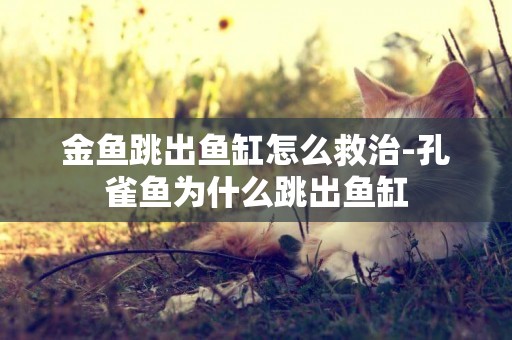金魚跳出魚缸怎么救治-孔雀魚為什么跳出魚缸