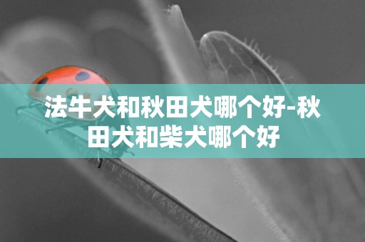 法牛犬和秋田犬哪個好-秋田犬和柴犬哪個好