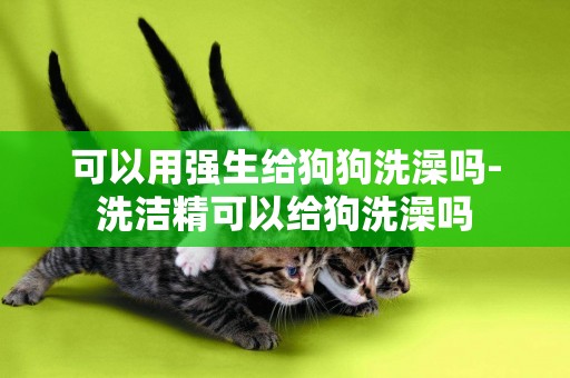 可以用強生給狗狗洗澡嗎-洗潔精可以給狗洗澡嗎