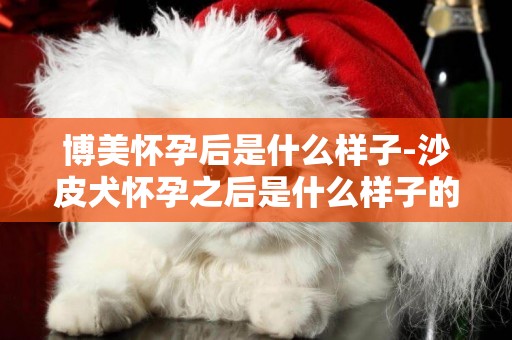 博美懷孕后是什么樣子-沙皮犬懷孕之后是什么樣子的