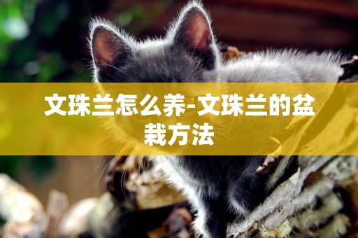 文珠蘭怎么養-文珠蘭的盆栽方法