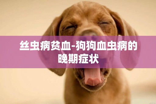 絲蟲病貧血-狗狗血蟲病的晚期癥狀