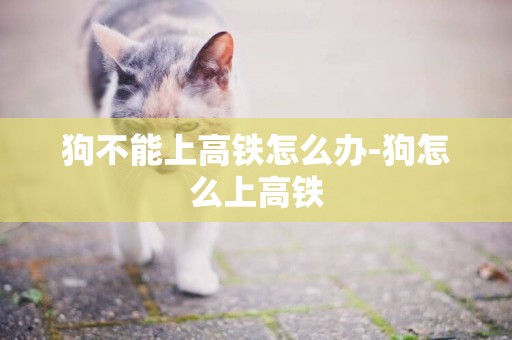 狗不能上高鐵怎么辦-狗怎么上高鐵