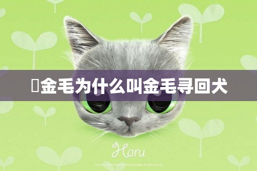 ?金毛為什么叫金毛尋回犬