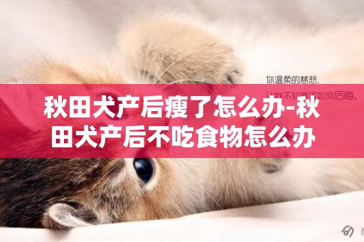 秋田犬產后瘦了怎么辦-秋田犬產后不吃食物怎么辦