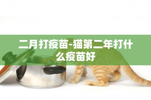 二月打疫苗-貓第二年打什么疫苗好