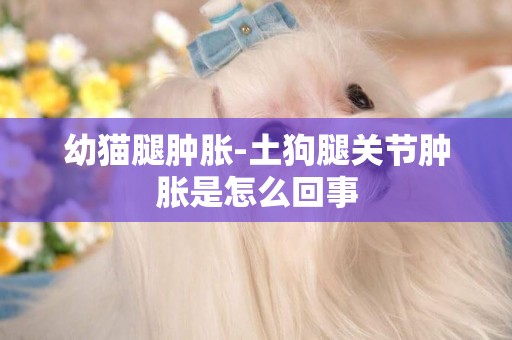 幼貓腿腫脹-土狗腿關節腫脹是怎么回事