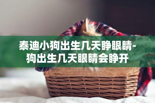 泰迪小狗出生幾天睜眼睛-狗出生幾天眼睛會睜開
