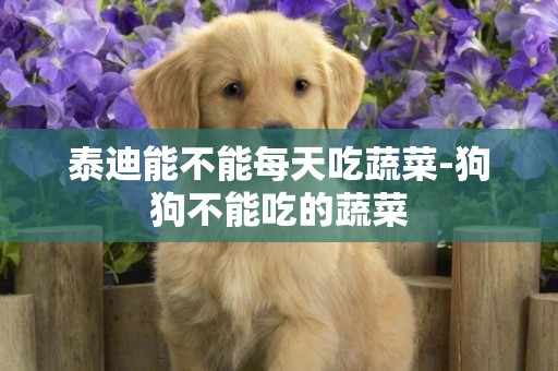 泰迪能不能每天吃蔬菜-狗狗不能吃的蔬菜