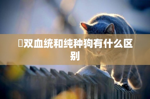 ?雙血統和純種狗有什么區別