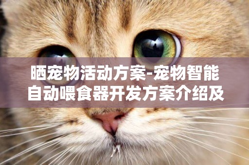 曬寵物活動方案-寵物智能自動喂食器開發方案介紹及發展前景