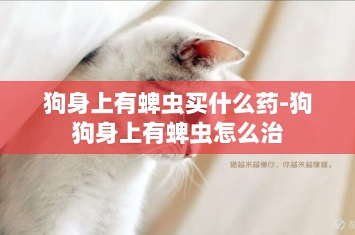 狗身上有蜱蟲買什么藥-狗狗身上有蜱蟲怎么治