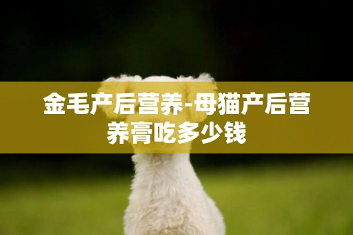 金毛產后營養-母貓產后營養膏吃多少錢