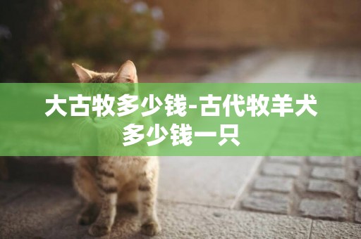 大古牧多少錢-古代牧羊犬多少錢一只