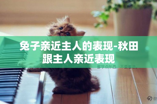 兔子親近主人的表現-秋田跟主人親近表現