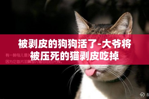 被剝皮的狗狗活了-大爺將被壓死的貓剝皮吃掉