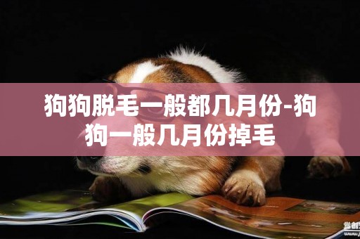 狗狗脫毛一般都幾月份-狗狗一般幾月份掉毛