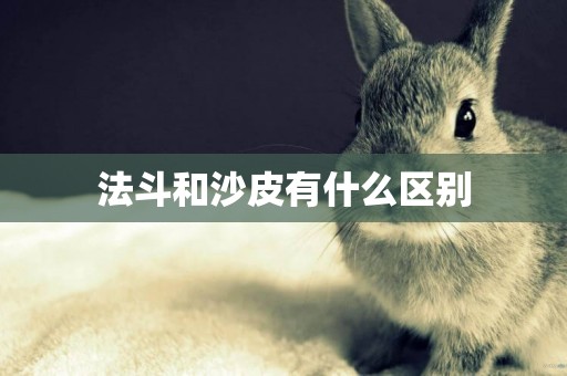 法斗和沙皮有什么區別