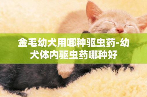 金毛幼犬用哪種驅蟲藥-幼犬體內驅蟲藥哪種好