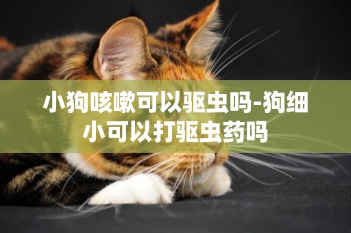 小狗咳嗽可以驅蟲嗎-狗細小可以打驅蟲藥嗎