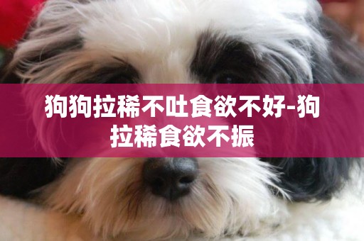 狗狗拉稀不吐食欲不好-狗拉稀食欲不振