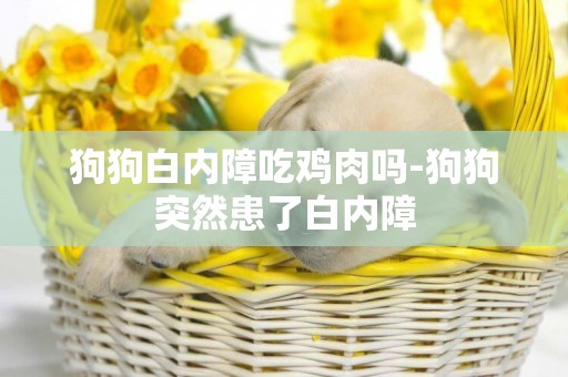 狗狗白內障吃雞肉嗎-狗狗突然患了白內障
