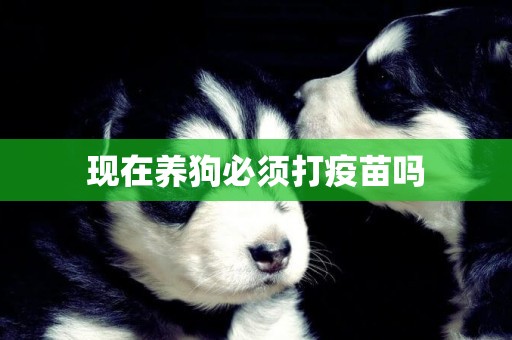 現在養狗必須打疫苗嗎