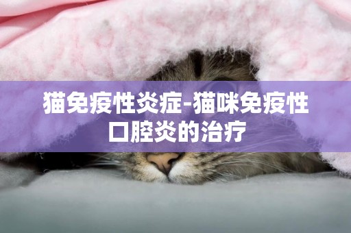 貓免疫性炎癥-貓咪免疫性口腔炎的治療