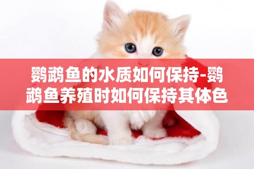鸚鵡魚的水質如何保持-鸚鵡魚養殖時如何保持其體色