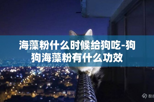 海藻粉什么時候給狗吃-狗狗海藻粉有什么功效