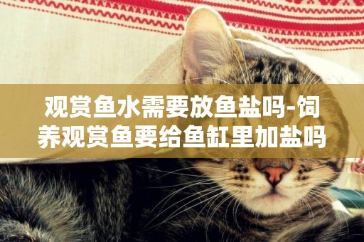 觀賞魚水需要放魚鹽嗎-飼養觀賞魚要給魚缸里加鹽嗎