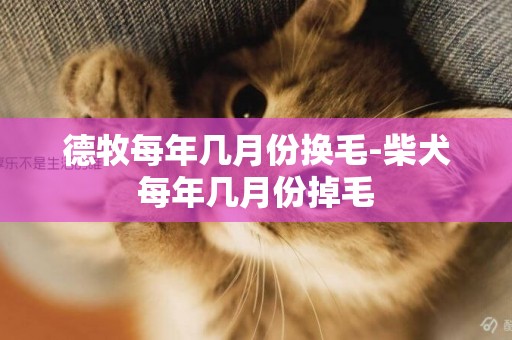 德牧每年幾月份換毛-柴犬每年幾月份掉毛
