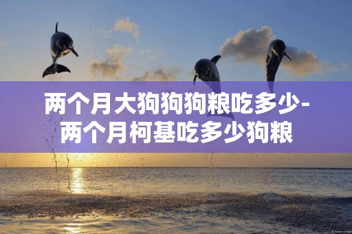 兩個月大狗狗狗糧吃多少-兩個月柯基吃多少狗糧