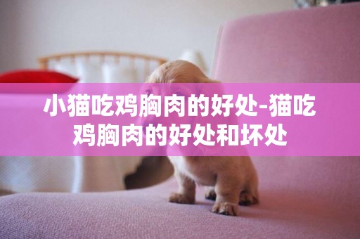 小貓吃雞胸肉的好處-貓吃雞胸肉的好處和壞處