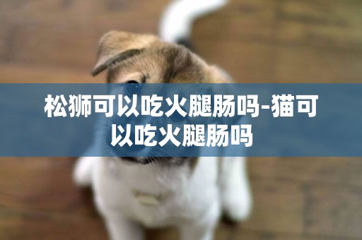 松獅可以吃火腿腸嗎-貓可以吃火腿腸嗎