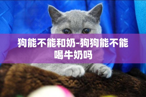 狗能不能和奶-狗狗能不能喝牛奶嗎