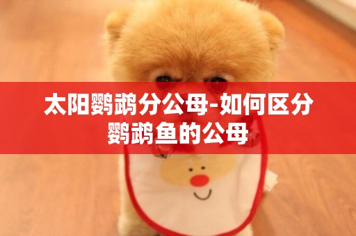 太陽鸚鵡分公母-如何區分鸚鵡魚的公母