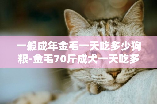 一般成年金毛一天吃多少狗糧-金毛70斤成犬一天吃多少狗糧