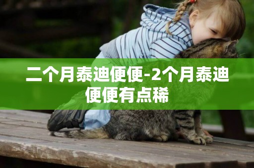 二個月泰迪便便-2個月泰迪便便有點稀