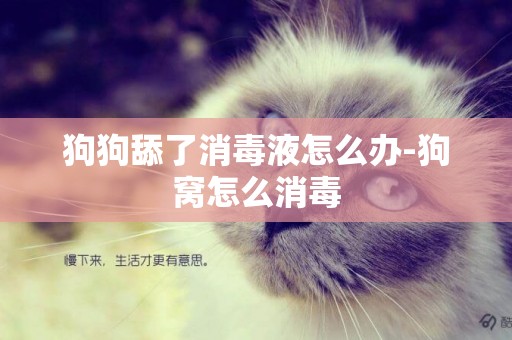 狗狗舔了消毒液怎么辦-狗窩怎么消毒