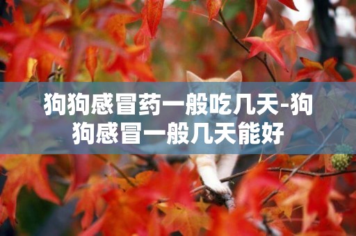 狗狗感冒藥一般吃幾天-狗狗感冒一般幾天能好