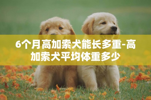 6個月高加索犬能長多重-高加索犬平均體重多少